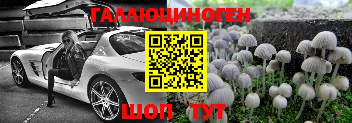 Галлюциногенные грибы Cubensis Озёры