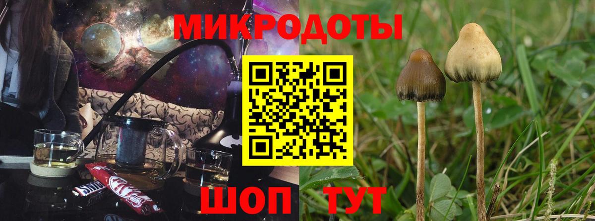 Озёры  Галлюциногенные грибы прущие грибы  Псилоцибиновые грибы GOLDEN TEACHER  Вход с VPN 
